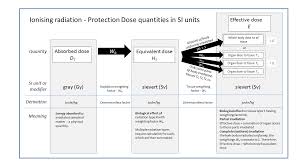 Graphic Showing Relationships Of Protection Dose Quantities