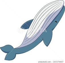 blue whale humpback whale cute cartoon