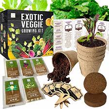 the best gardening kits to grow produce