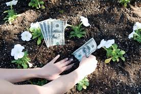 9 Money Saving Secrets Every Gardener