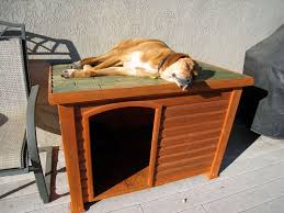 Dog Houses 101 How To Choose The Best