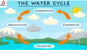 water cycle diagram drawing for kids
