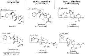 Penicillin Vs 1st And 2nd Generation Cephalosporin