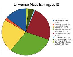 Trip Recap 2010 Earnings Pie Chart Unwoman