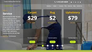 organic carpet cleaning nyc services
