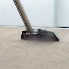 encinitas carpet care professional