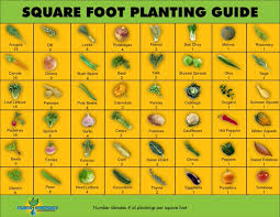 Easy Steps To Square Foot Gardening Success The Garden Glove