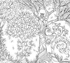Basford enchanted forest, secret garden: The Secret Garden Coloring Page Novocom Top