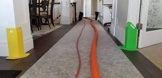 carpet cleaning alpine professional