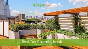 terrace gardening roof top gardening