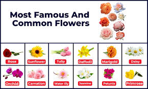 flowers name in english hindi and urdu