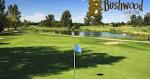 Bushwood Golf Club - Ontario Golf Deals
