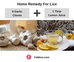 15 most effective home remes for lice