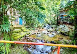 Saya ingin berkongsi beberapa lokasi tempat bermandi manda di selangor yang pernah saya kunjungi bersama keluarga. Sungai Congkak Tempat Menarik Di Selangor Selangor Hills Resort City Farm