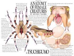 Anatomy of Female Creatures by Shungo Yazawa | Yablor.ru