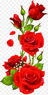 rose love flower arranging heart png