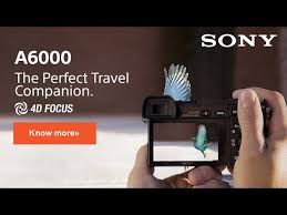 4d focus gallery browse crisp action shots taken with 4d focus, and see how you can take them yourself, with detailed information ranging from model number to aperture size and focal length. Create Picture Prefect Memories With Sony Alpha A6000 Youtube