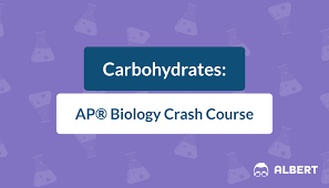 carbohydrates ap biology crash course