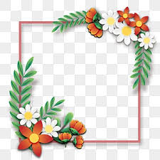 flower borders png transpa images