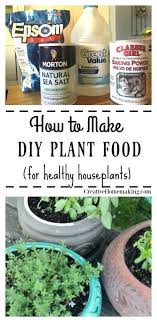 How To Make Homemade Plant Food