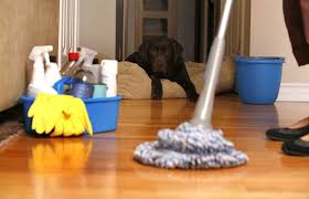 keeping a pet friendly home clean
