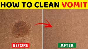 how to clean vomit from carpet with