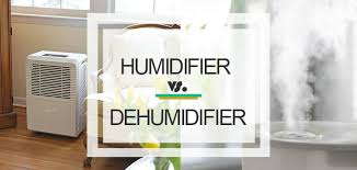 humidifier vs dehumidifier which one