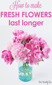 Check spelling or type a new query. How To Make Fresh Flowers Last Longer