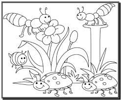 Bộ sưu tập tranh tô màu côn trùng dễ thương nhất cho bé - Tranh Tô Màu cho  bé