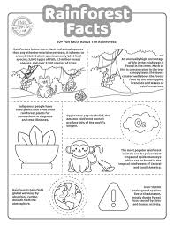 rainforest facts printable worksheets