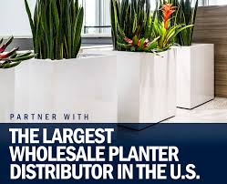 whole plant pots commercial