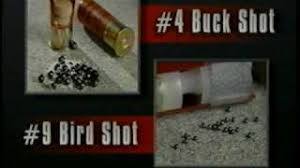 Try the federal.410 handgun 000 buckshot, it should deliver a group of just a couple of inches and four (or five) wound channels. Shotgun Shells Explained Types Of Ammo Birdshot Buckshot Slugs