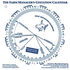 Details About Goat Gestation Calendar Calculate Birth Breeding Conception Birthing Date