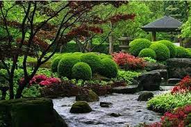 21 Japanese Garden Ideas Plants And