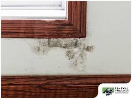 with mold growth on window casings