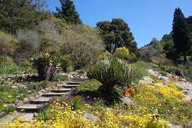 The Best Bay Area Gardens For Romance