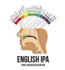 This page allows you to easily type phonetic transcriptions of english words in the international phonetic alphabet (ipa). Creative Translation On Twitter Have You Ever Heard Of The International Phonetic Alphabet Try Saying These Words And Notice How Your Mouth Produces The Sounds Mondaymotivation Creativetranslationlondon Https T Co Qtkrv1p183