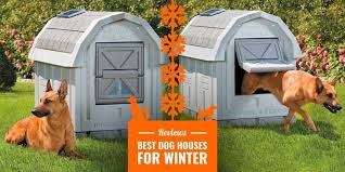 10 best dog houses for winter