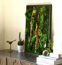 Preserved Moss Art Framed Real Moss