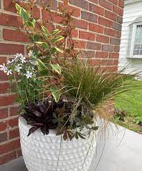 Design A Year Round Shade Container