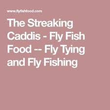 The Streaking Caddis Fly Tying Fly Tying Fly Fishing Tie