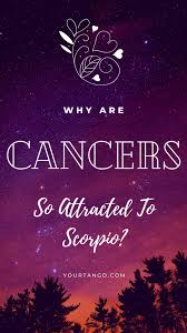 Scorpios feel everything intensely, including jealousy. Why Are Cancers So Attracted To Scorpios Cancer Astrology Cancer Zodiac Signs Cancer