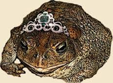 Image result for toads