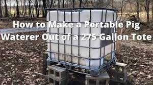 portable pastured pig waterer out