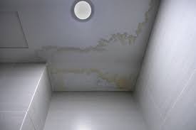 How To Remove Mould From A Bathroom Ceiling