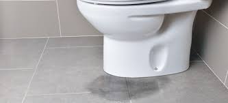 how to check if your toilet is leaking