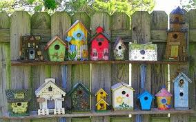 Cool Bird Houses Птичник Украшение