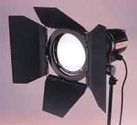 The Britek Dayphoto Lighting System Shutterbug