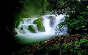 forest waterfall background images hd