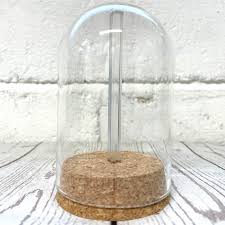 1 X Glass Dome Cloche Display Bell Jar